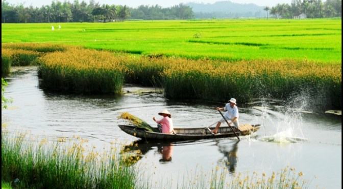 Giai điệu Tổ Quốc