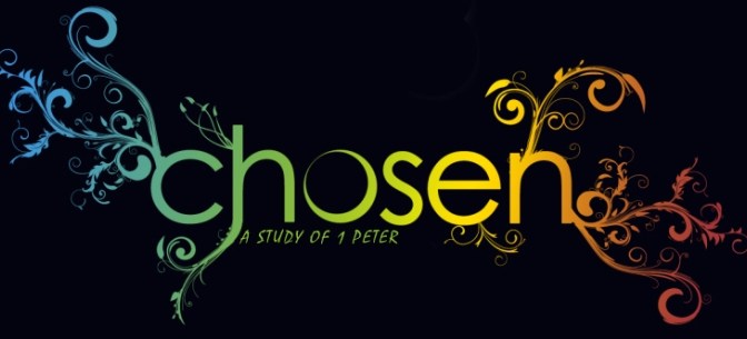 Vì các bạn là thế hệ được chọn