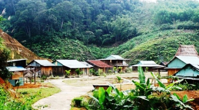 Ở với ông ngoại