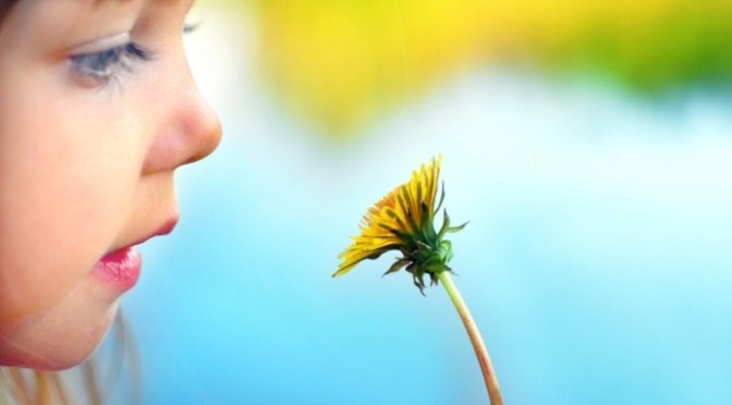 Phát triển tiềm năng bằng quan sát và lắng nghe