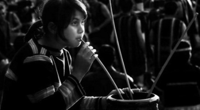 Uống rượu gặt lúa đổi công