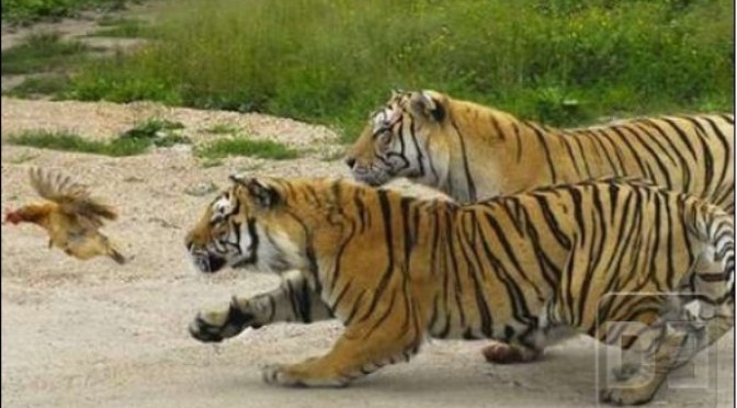 Đối diện vấn đề lớn hơn sức mình