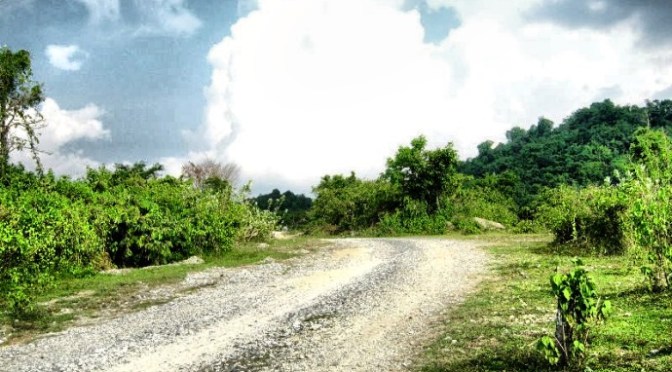 Tương lai về  đâu?