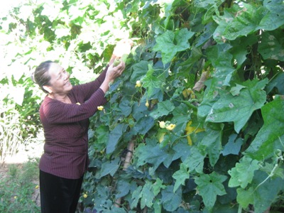 Cô y tá năm xưa giờ đã thành bà ở tuổi ngoài 70