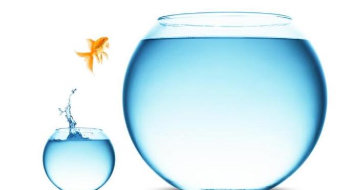 Chấp nhận thử thách mang đến điều kỳ diệu