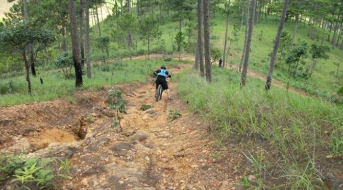 Đi xe đạp không có thắng