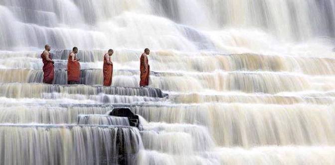 Sống là tranh đấu ?