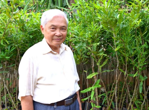 Giáo sư Hoàng Hòe trước vườn cây giống mắc ca 2 năm tuổi