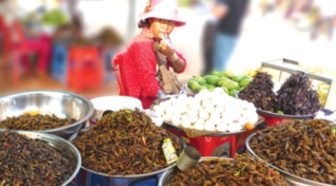 Thăm hẻm côn trùng chiên