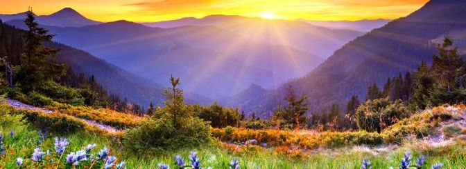 Living in the moment