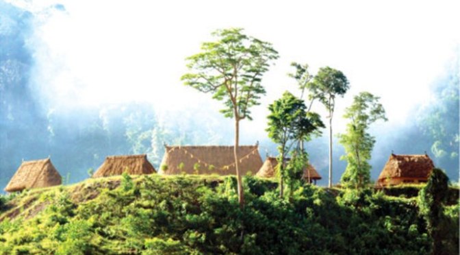 Tình ca Tây Nguyên