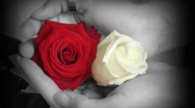 Nhạc và phim: Vu Lan