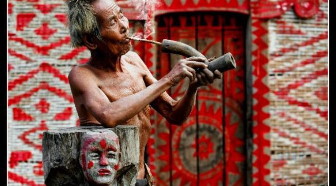 Được Yàng nuôi