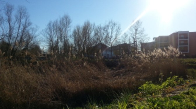 La romance d’autrefois