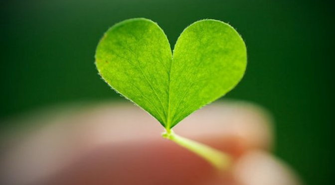 Để yêu một người – To love somebody