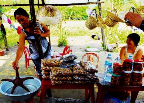 Chào bán con sao biển tăng cường sinh lực trên Cù Lao Chàm 