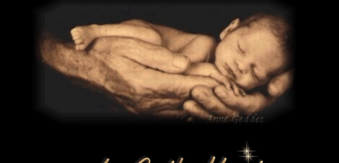 Phần quyết định của ta cho đời ta