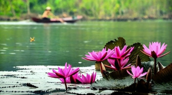 Đi đâu cho thiếp theo cùng