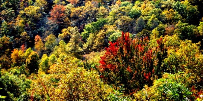 Sắc Thu trên dãy Appalachian 2014