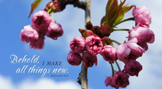 “Nhìn này, Ta làm mọi chuyện đều mới.”