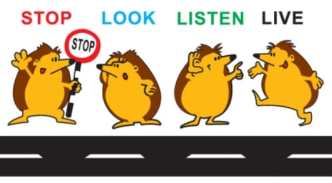 Dừng lại, nhìn và lắng nghe – Stop, look and listen