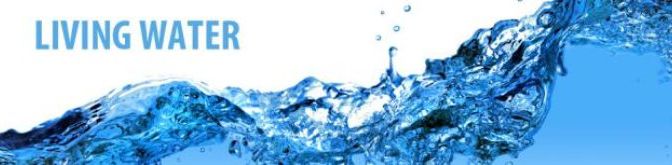 Dòng suối linh thánh trong ta