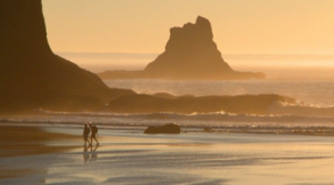 Người đồng hành của bạn