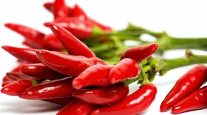 Nắm ớt của người điên