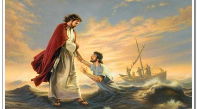 Hãy cứu hồn con