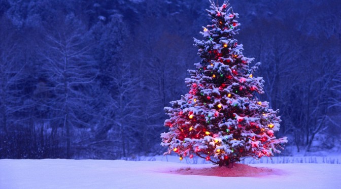 Sự tích cây Noel