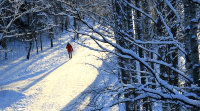 Thiên nhiên kỳ diệu