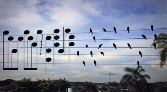 “Bản nhạc trên dây”