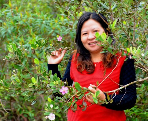 Chị Nhiệm gắn bó với những đồi sim