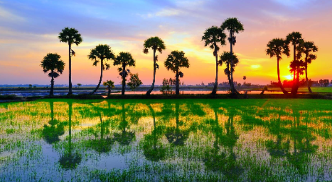 Dân ca dân nhạc VN – Nói lối