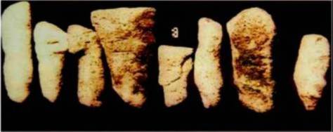 danda_Đàn Đá Tuy An