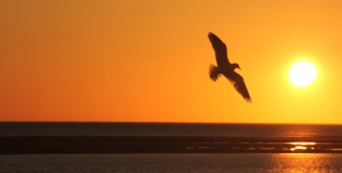 Lời cầu nguyện 674 – Prayer 674