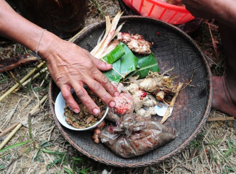 Sau 2 ngày hội, già làng sẽ gói các hạt giống đã cúng tế, chia cho các thành viên trong làng về làm phép. Những hạt giống đó được mang về trộn chung với hạt giống của mỗi nhà, rồi đem đi  tra hạt để khởi đầu cho một vụ mùa mới.