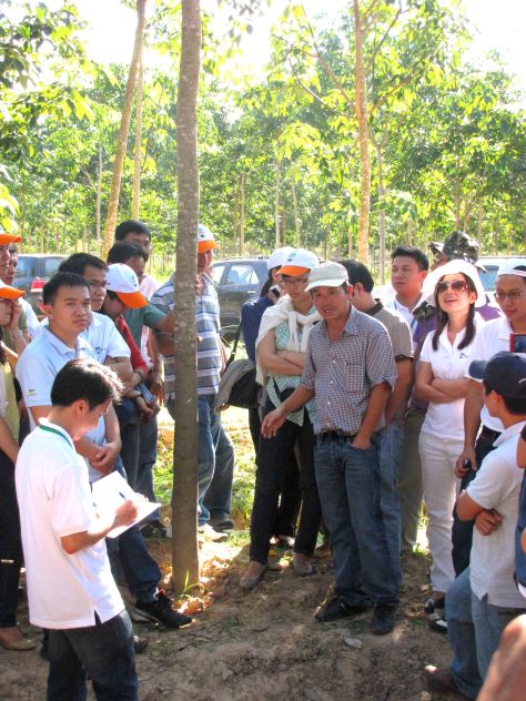 Ông Đức giới thiệu về vườn cây cao su