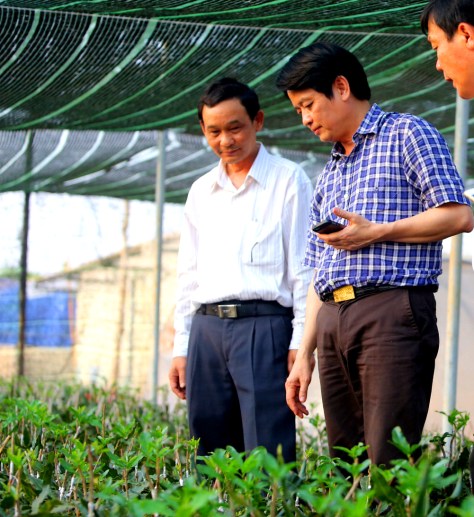 Ông Hưởng ( áo xanh) trong vườn mắc ca thực sinh vừa ghép