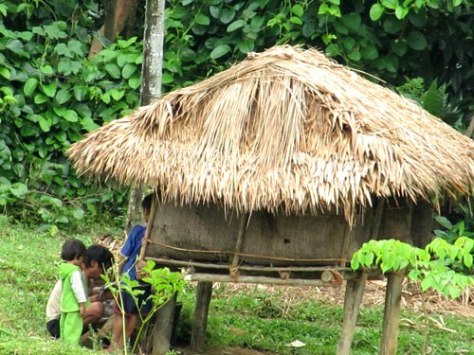 Phụ nữ Chơ Ro sinh con trong chòi được dựng ngay trong vườn nhà.