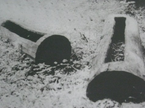 Quan tài của người Chu Ru được làm từ thân cây đục rỗng.