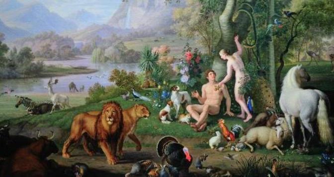 Trở lại Địa đàng