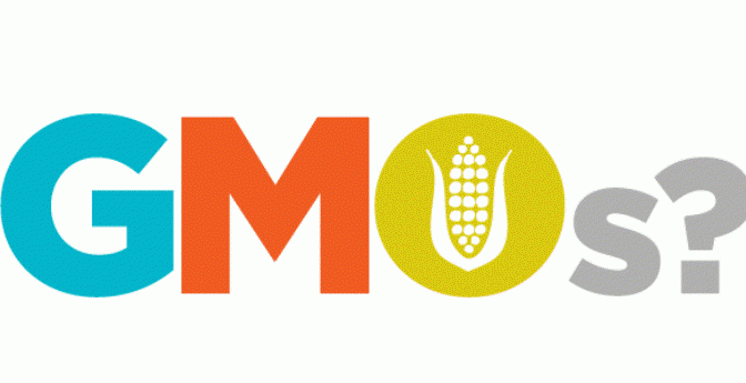 Thực phẩm biến đổi gen – Bài học từ nước Mỹ