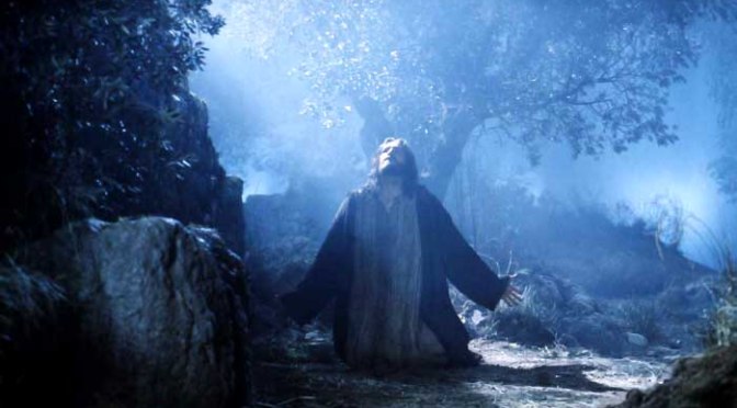 Trong khu vườn – In the Garden