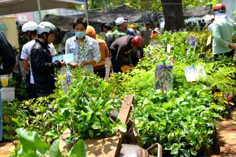 Nông dân mua các giống cà phê cao sản mới tại lễ hội cà phê