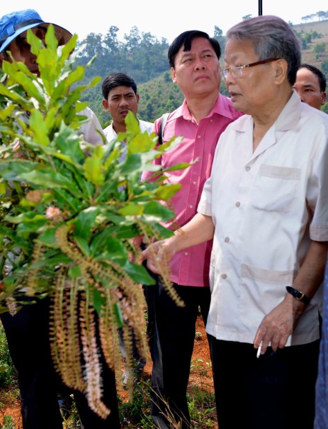 Nguyên Chủ tịch Nước Trần Đức Lương ngắm cây mắc ca trồng mới năm thứ 2 đã trổ hoa ở Tuy Đức
