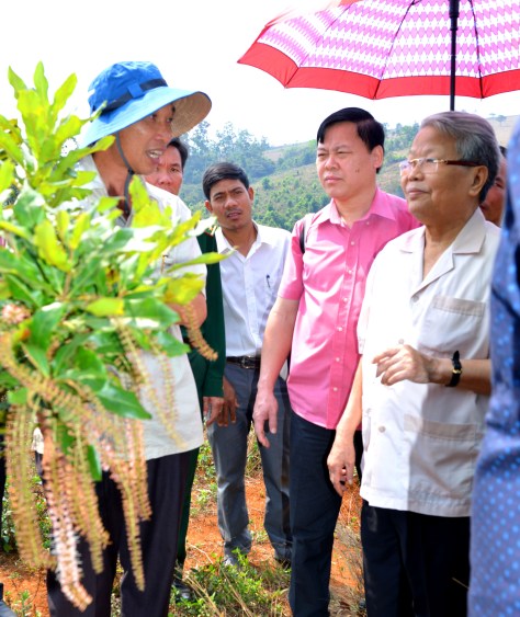 Nguyên CTN nghe BTHU Tuy Đức giới thiệu về mắc ca