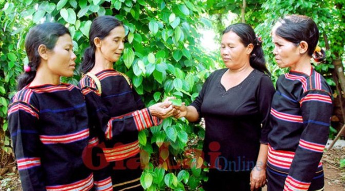 Năng lượng tích cực cho ngày sống