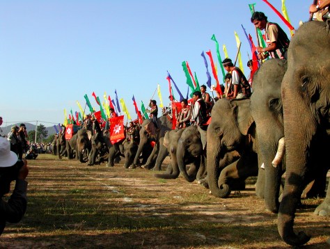 Đàn voi nhà Đắk Lắk 10 năm trước  cúi chào quan khách và công chúng dự lễ- Ảnh HTN
