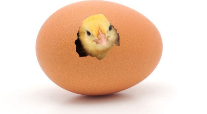 Sátna vô thường